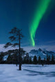 Moonlight and Aurora over Wall Decal