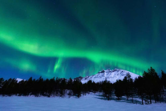 Aurora Borealis over Nova Wall Decal