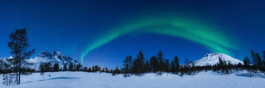 Aurora Borealis over Nova Wall Decal Design 2