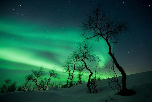 Northern Lights Arctic Wilderness Wall Decal Design 1