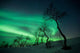 Northern Lights Arctic Wilderness Wall Decal Design 1
