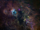 Widefield Image Narrowband Emission Wall Decal