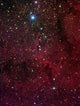 Elephant's Trunk Nebula inside Wall Decal