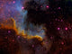 Close-up North America Nebula Wall Decal