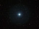 Bright White Star Castor Wall Decal