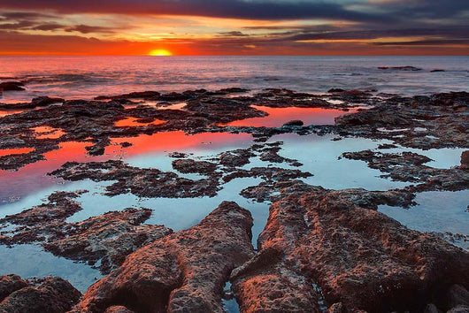 Tidal Pools Reflect Sunrise Wall Decal
