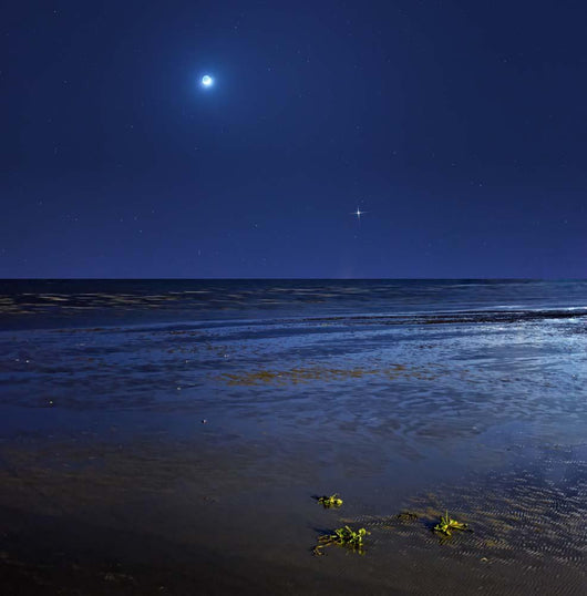 Venus Shines Brightly below Wall Decal