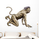 Stalking Asanbosam Monster Wall Decal