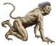 Stalking Asanbosam Monster Wall Decal