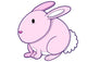 Pink Bunny 0013 Wall Decal