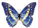 Blue Butterfly Wall Decal