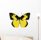 Yellow Butterfly Wall Decal