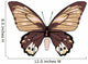 Tan and Brown Butterfly Wall Decal