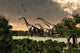 Brachiosaurus Dinosaurs Walk through Wall Decal