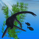 Plesiosaurus Dinosaur Jurassic Era Wall Decal