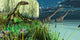 Dilong Dinosaurs Watch Two Wall Decal