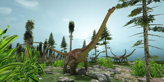Herd Diplodocus Dinosaurs Graze Wall Decal