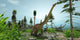 Herd Diplodocus Dinosaurs Graze Wall Decal