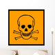 Chemical Signs Poison Skull Wall Decal