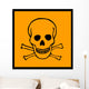 Chemical Signs Poison Skull Wall Decal