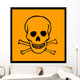 Chemical Signs Poison Skull Wall Decal