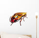 Click Beetle Clicking Wall Decal