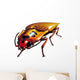 Click Beetle Clicking Wall Decal