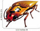 Click Beetle Clicking Wall Decal