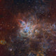 Tarantula Nebula Wall Decal