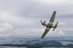 North American P-51 Mustang Wall Decal Design 3