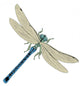 Blue Dragonfly Wall Decal
