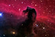 Horsehead Nebula Wall Decal