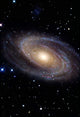 Messier 81 Spiral Galaxy Wall Decal