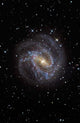 Southern Pinwheel Galaxy Wall Decal