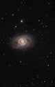 Messier 95 Barred Spiral Wall Decal