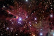 Cone Nebula and Christmas Wall Decal