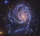 Pinwheel Galaxy Also Known Wall Decal