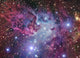 Fox Fur Nebula Wall Decal
