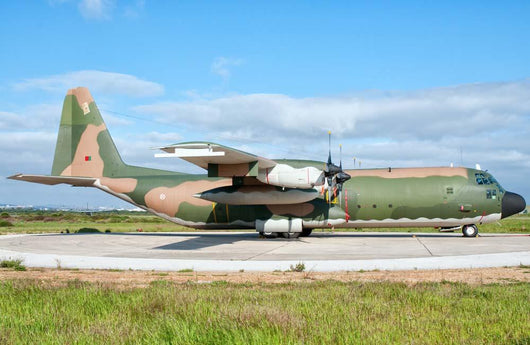 Portuguese Air Force C-130h Wall Decal