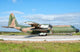 Portuguese Air Force C-130h Wall Decal