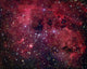 Ic 410 Emission Nebula Wall Decal