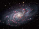 Triangulum Galaxy Wall Decal