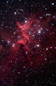 Bright Star Cluster Known Wall Decal
