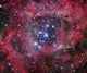 Ngc 2244 Open Cluster Wall Decal