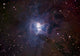 Iris Nebula Wall Decal