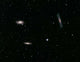 Leo Triplet Wall Decal