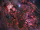 Northern Cygnus Wall Decal