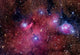 Ngc 6559 Is Rich Wall Decal