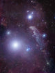 Supergiant Rigel and Ic Wall Decal