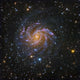Ngc 6946 Also Known Wall Decal